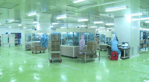 晶正科技 以技术为翼，冲刺虎年开门红